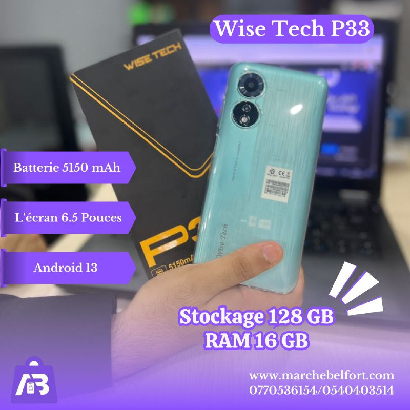 WISE TECH P33